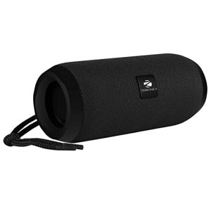 ZEBRONICS Portable BT Speaker