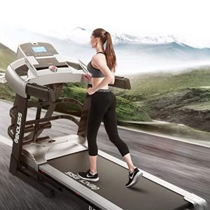 Endless (2.5 HP) Motorized Treadmill