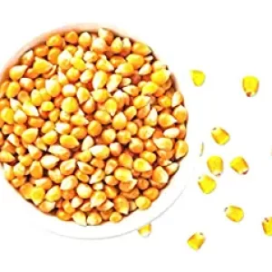 Popcorn Kernels (Ready to Cook, Unpopped, Makka Seeds) (2 Kg)