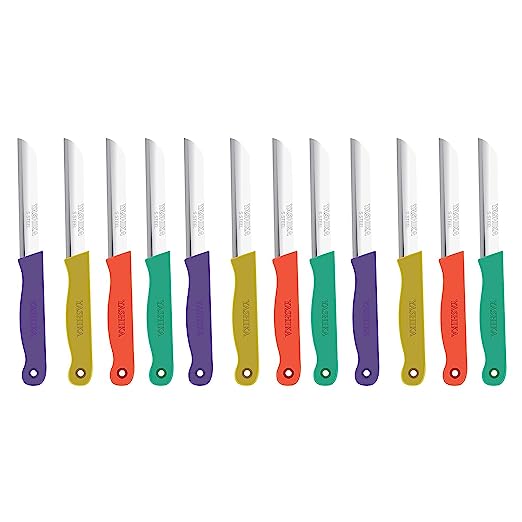 10 pcs Knife Set