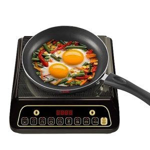 Lifelong 2000 Watt Induction Cooktop