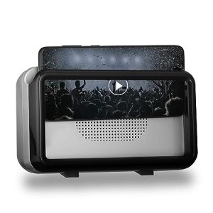 PTron 12W Bluetooth Speaker