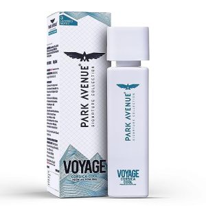 Park Avenue Cool Premium Perfume, 120 ml