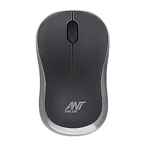 Ant Value Wireless Mouse