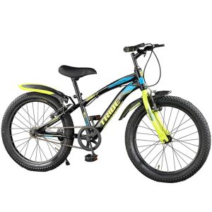 Lifelong 20T Cycle for Kids 5 to 8 Years