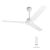 Hindware Remote Control Fan