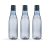 Solimo Water Bottle (Set of 3)