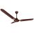 RR Signature (Previously Luminous) Dhoom 1200MM Celling Fan