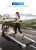 Endless (2.5 HP) Motorized Treadmill