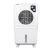 Hindware 46L Air Cooler